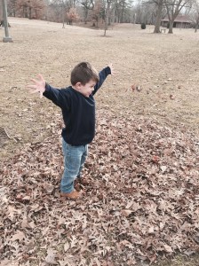 We spent a great deal of the evening at Lincon Park on Saturday it was the warmest its been in a few months.